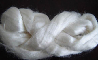 lol竞猜平台科技